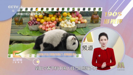全国政协委员、导演刘家成在会上发言时强调，一系列优秀作品都来自于生活，但不能脱离生活。